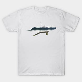 Seward Alaska - Resurrection Bay T-Shirt